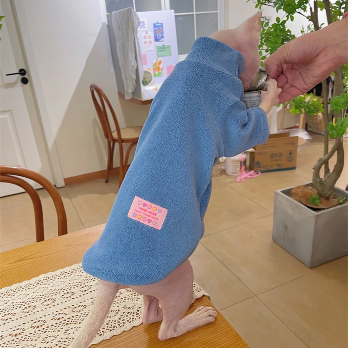 Fleece Coat for Sphynx Cat Warm Sweatshirt 4-legged Jumpsuit for Kittens Dogs soft Loungewear for Male Cat Devon Rex Sweater